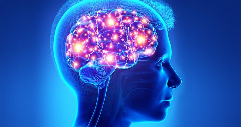 201123_UniofBirmingham_Brain_Magnetism