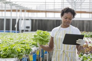 GettyImages-514411261-954x537