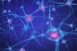 WebsiteJpg_XL-FNSYS_Main Visual_Purple_Website