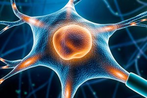 neuroscience-shutterstock_1700148913-1200x600