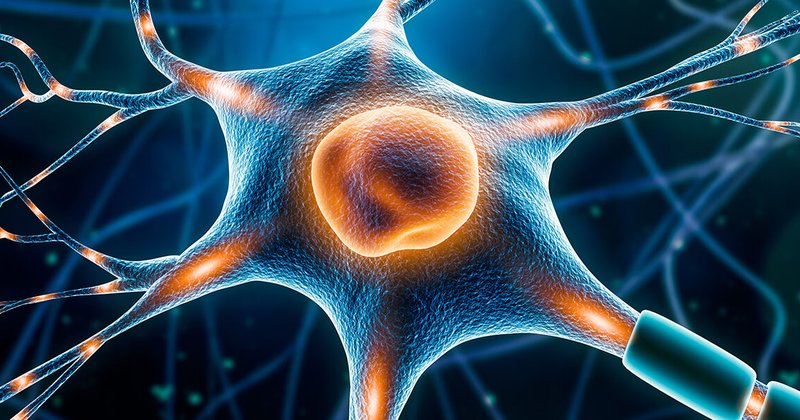 neuroscience-shutterstock_1700148913-1200x600