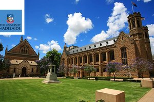 sliit-international-section-transfer-options-Adelaide-university